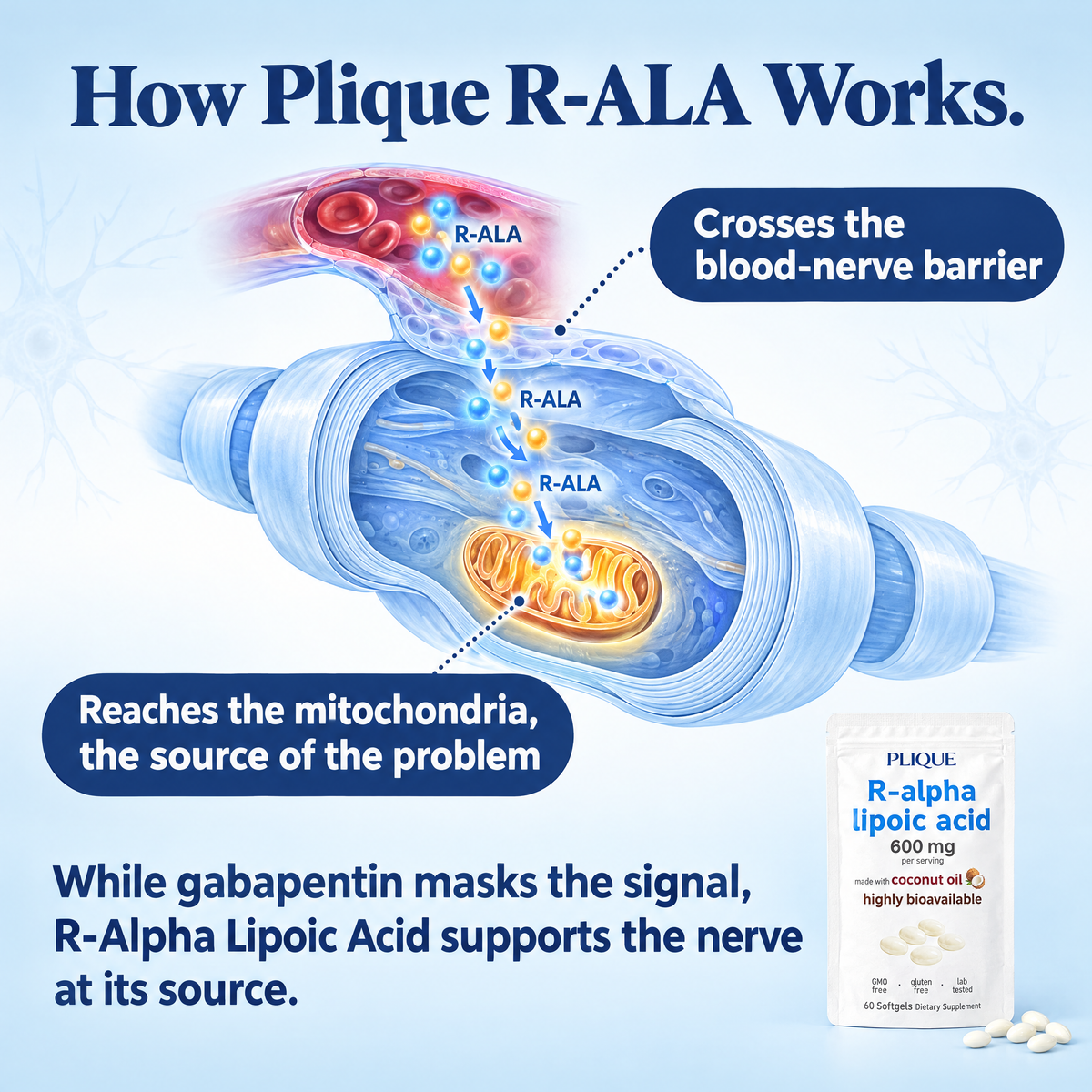 R- Alpha Lipoic Acid